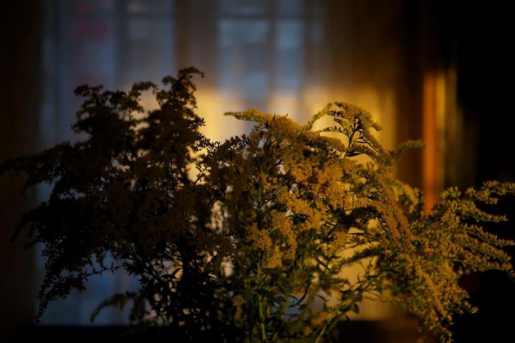 Le Nid De Rochefort Esterno foto