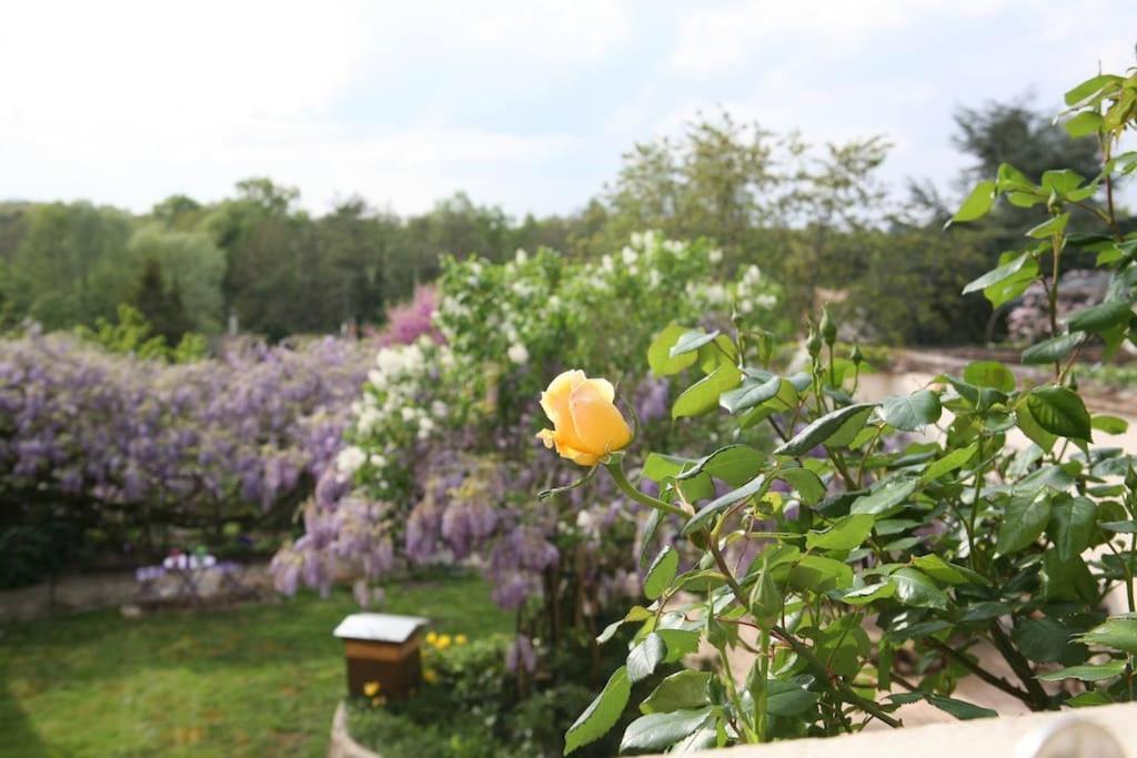 Le Nid De Rochefort Esterno foto